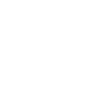 Chicken-Plus.png